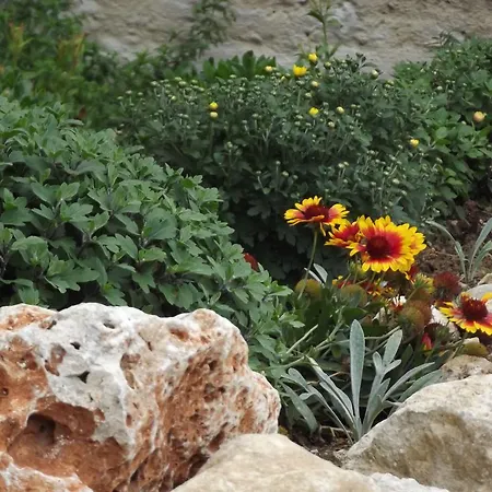 Дом отдыха Adriatic View Глифада