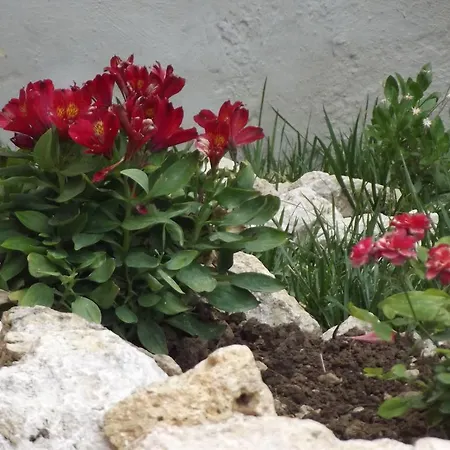 Adriatic View * 格利法达