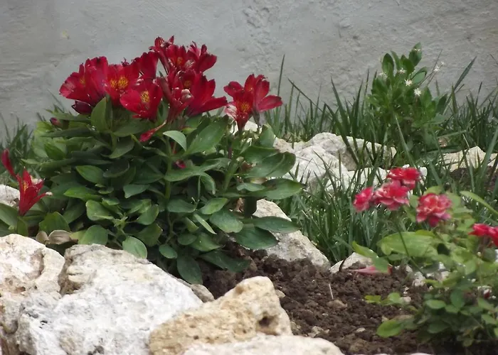 Adriatic View * 格利法达