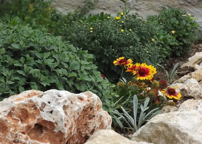 度假居 Adriatic View 格利法达