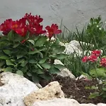 Adriatic View * グリファダ